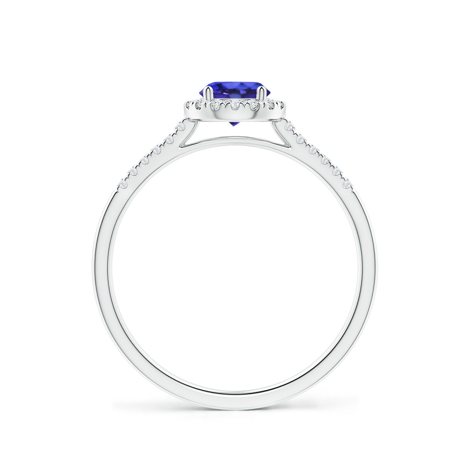 5mm AAAA Round Tanzanite Halo Ring with Diamond Accents in P950 Platinum side-1