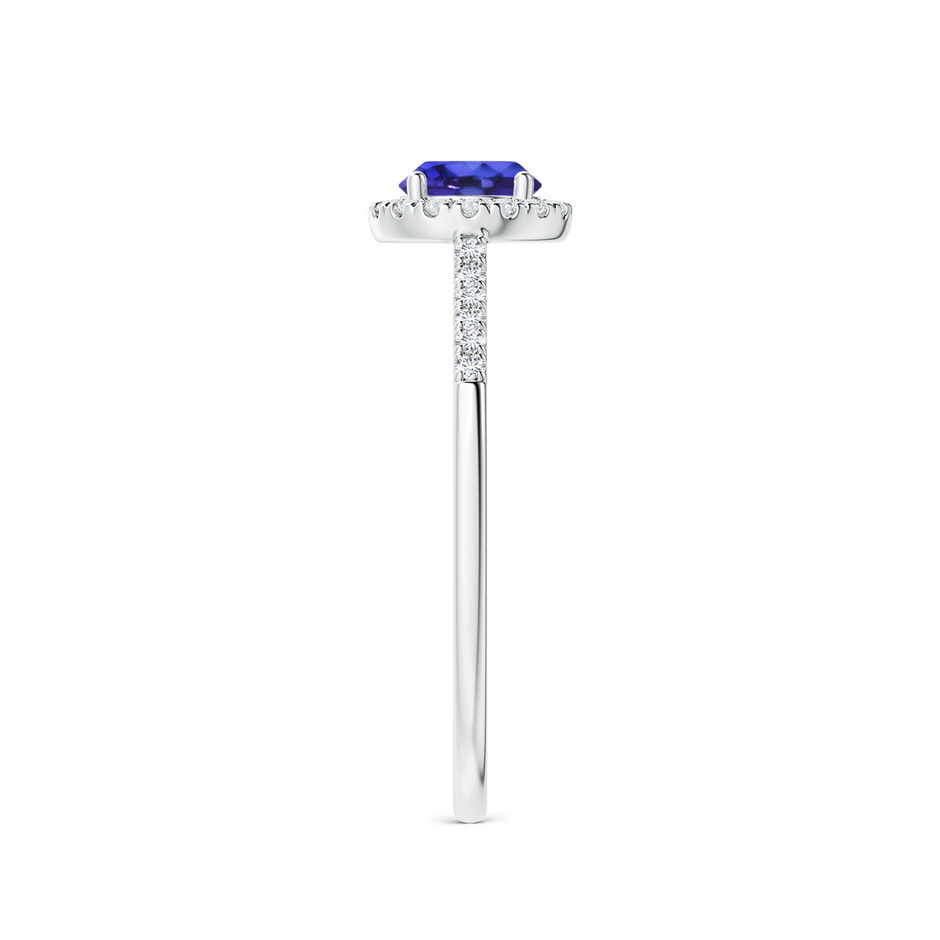 5mm AAAA Round Tanzanite Halo Ring with Diamond Accents in P950 Platinum side-2