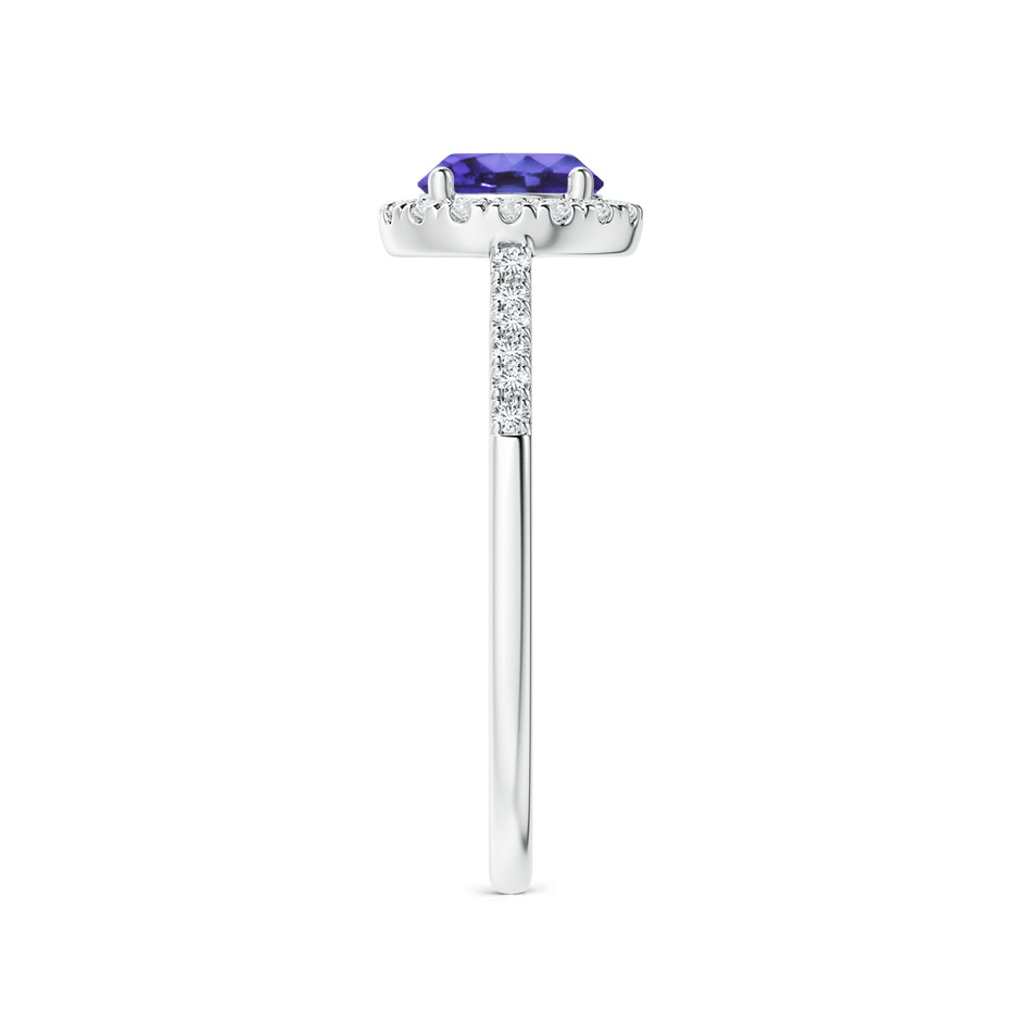 6mm AA Round Tanzanite Halo Ring with Diamond Accents in 10K White Gold side-2