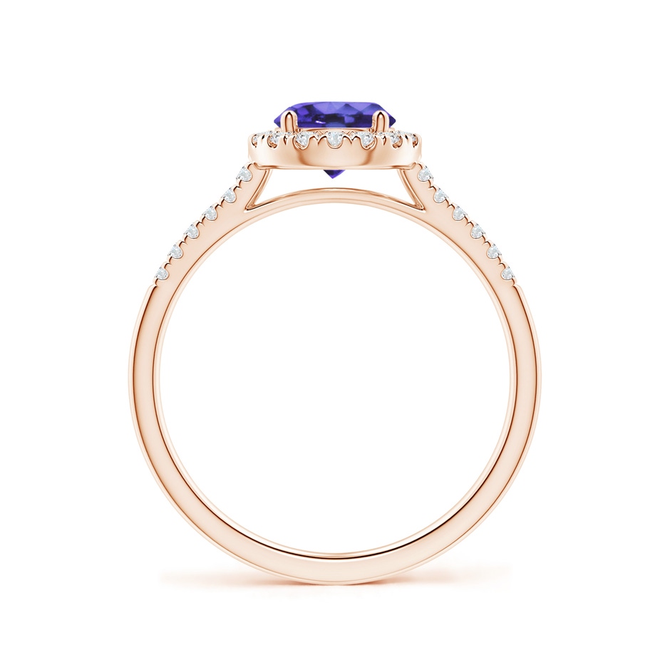 6mm AA Round Tanzanite Halo Ring with Diamond Accents in Rose Gold side-1