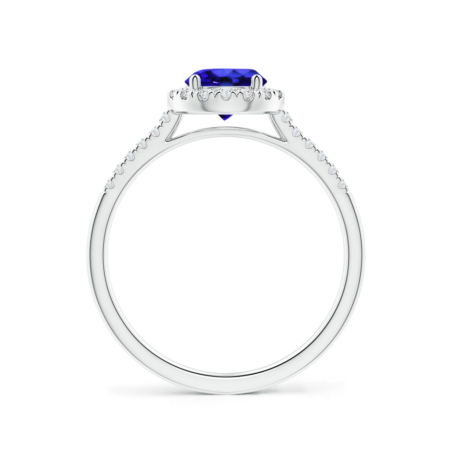 AAA - Tanzanite / 1.1 CT / 14 KT White Gold