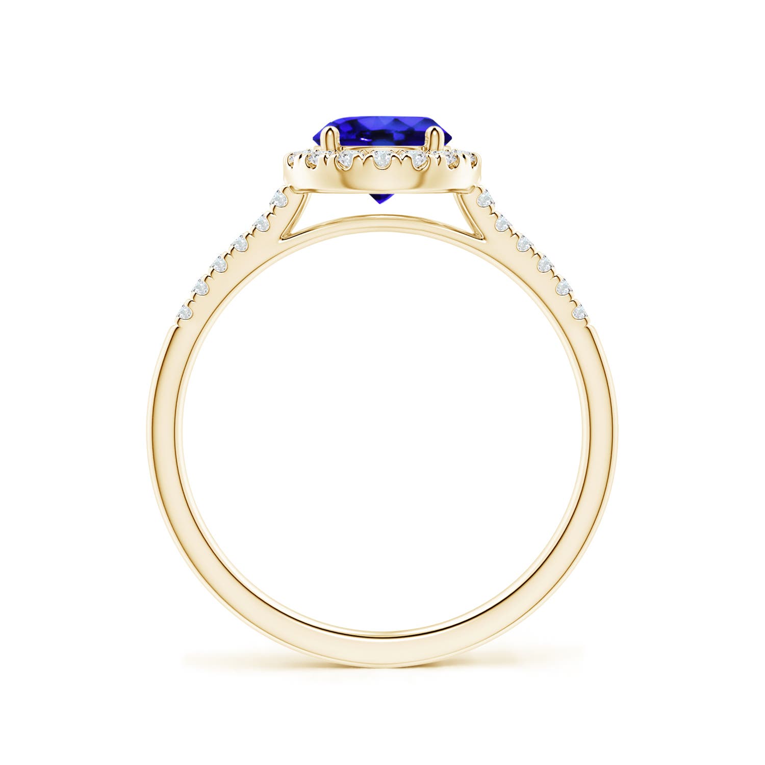 AAA - Tanzanite / 1.1 CT / 14 KT Yellow Gold