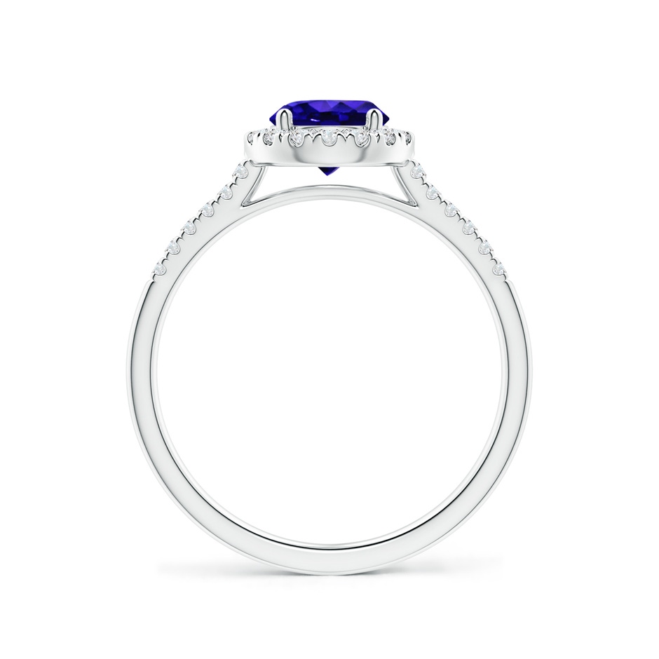 6mm AAAA Round Tanzanite Halo Ring with Diamond Accents in P950 Platinum side-1