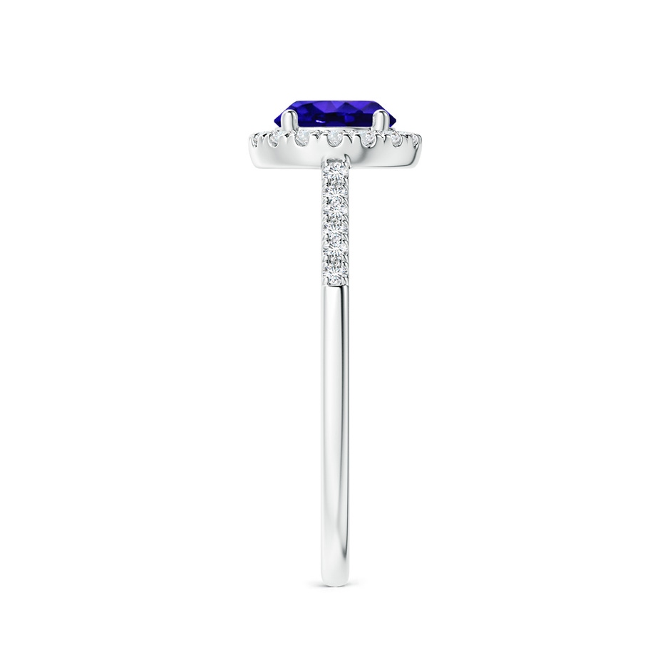 6mm AAAA Round Tanzanite Halo Ring with Diamond Accents in P950 Platinum side-2