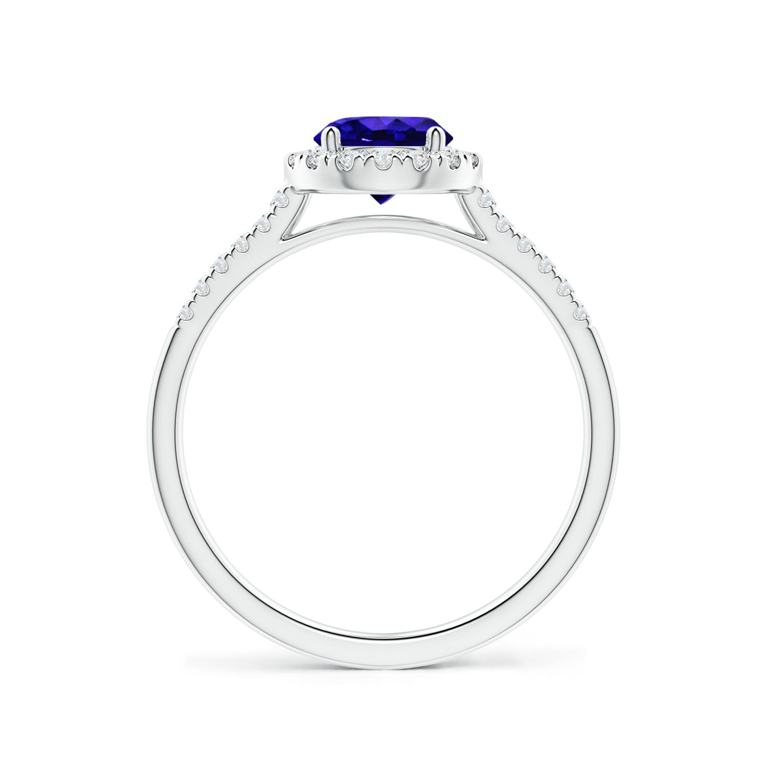 AAAA - Tanzanite / 1.1 CT / 14 KT White Gold