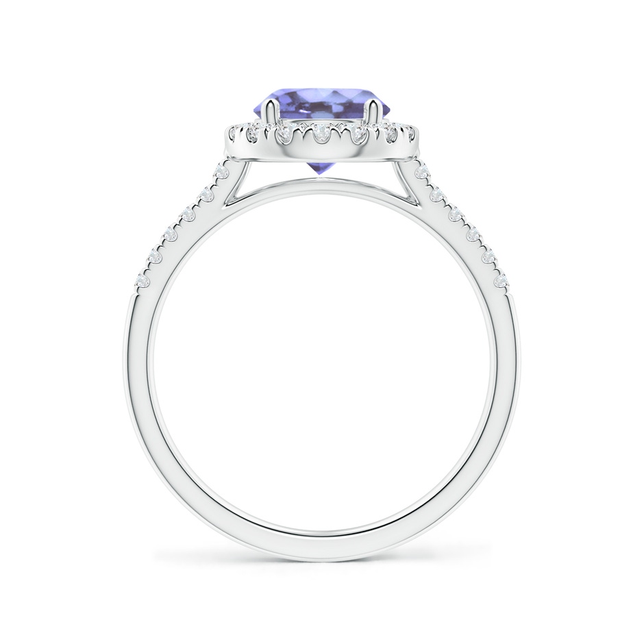 7mm A Round Tanzanite Halo Ring with Diamond Accents in P950 Platinum side-1
