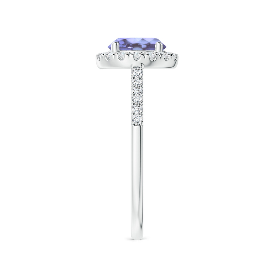 7mm A Round Tanzanite Halo Ring with Diamond Accents in P950 Platinum side-2