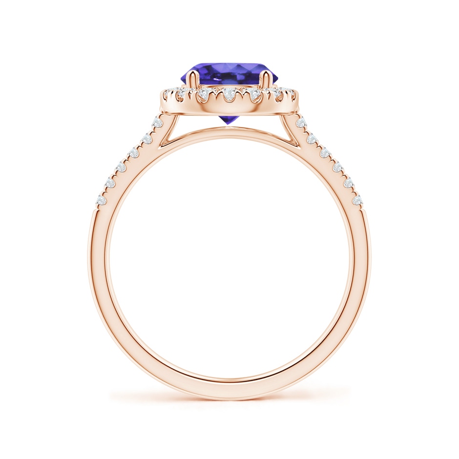 7mm AA Round Tanzanite Halo Ring with Diamond Accents in Rose Gold side-1