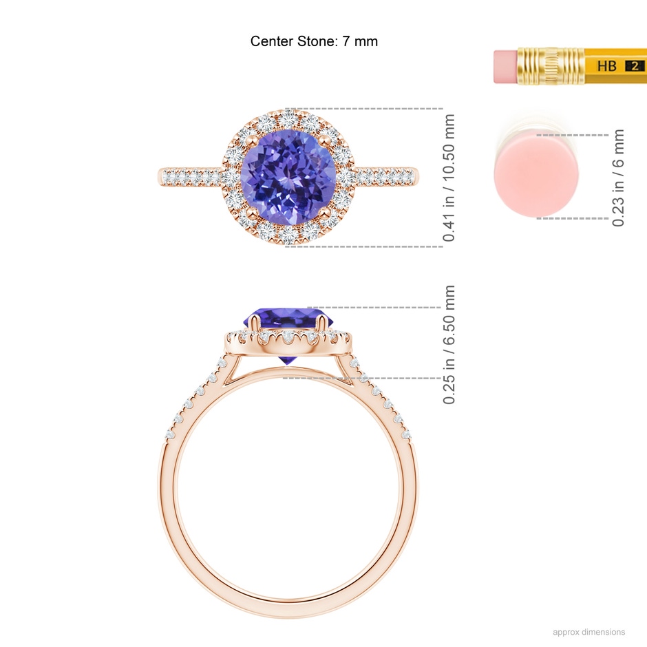 7mm AA Round Tanzanite Halo Ring with Diamond Accents in Rose Gold ruler