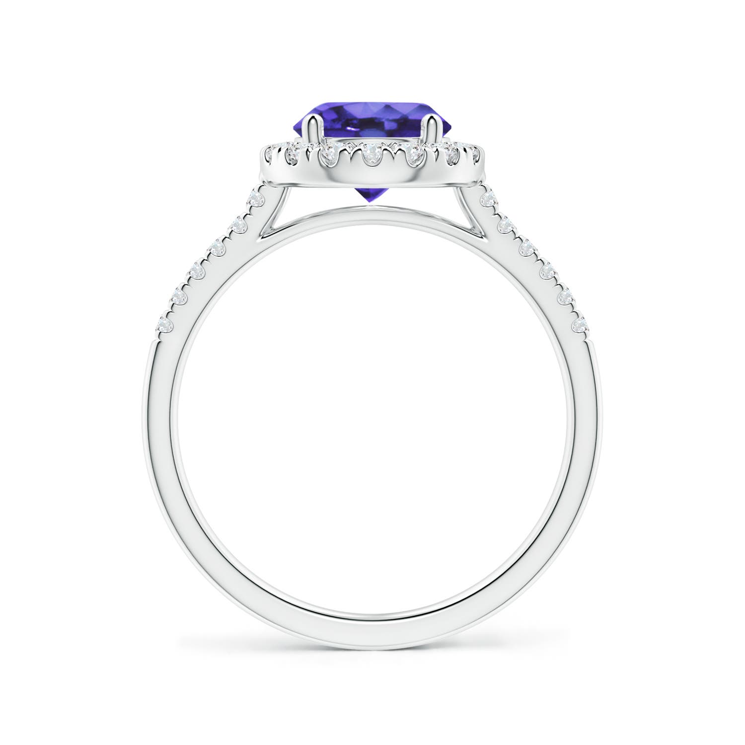 AA - Tanzanite / 1.74 CT / 14 KT White Gold