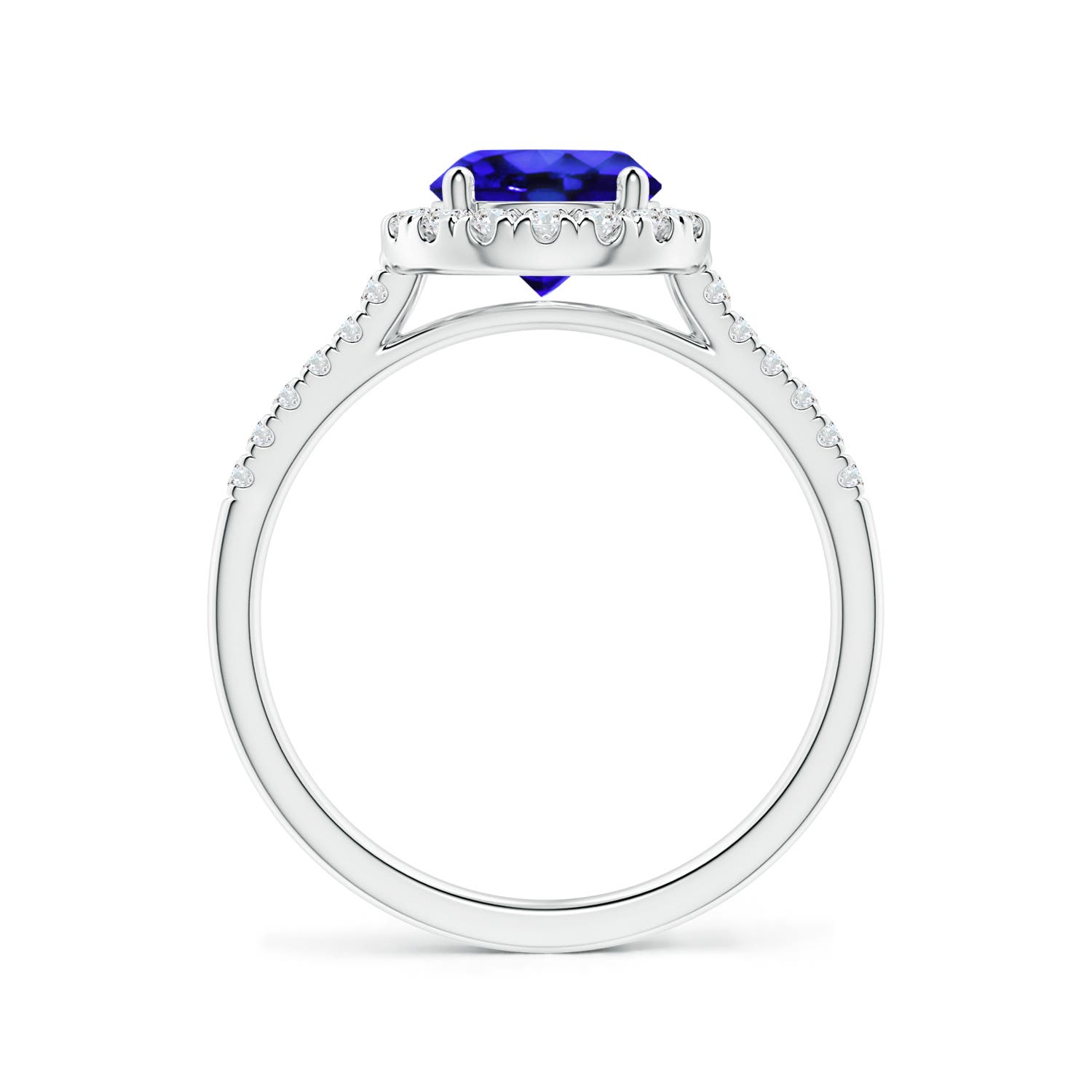 AAA - Tanzanite / 1.74 CT / 14 KT White Gold