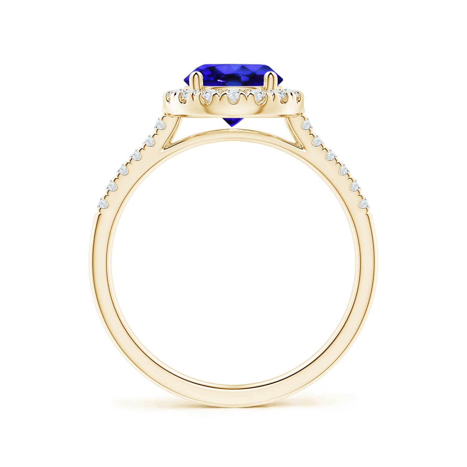 AAA - Tanzanite / 1.74 CT / 14 KT Yellow Gold