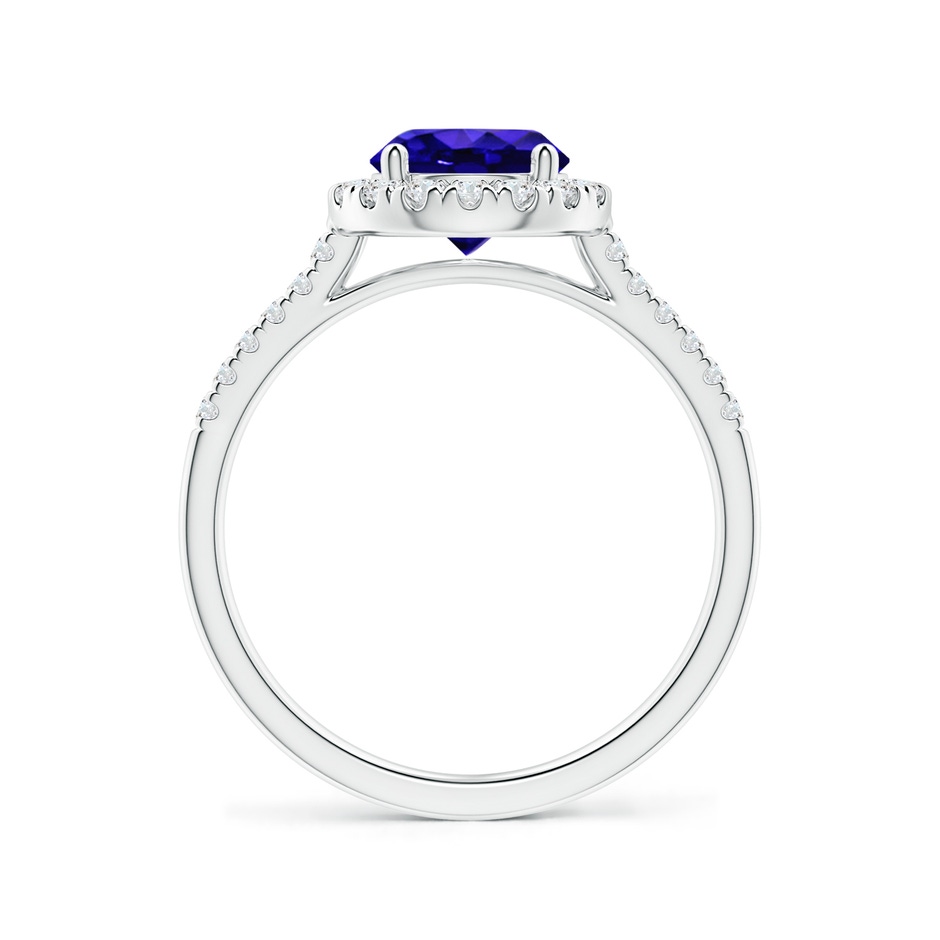 7mm AAAA Round Tanzanite Halo Ring with Diamond Accents in P950 Platinum side-1