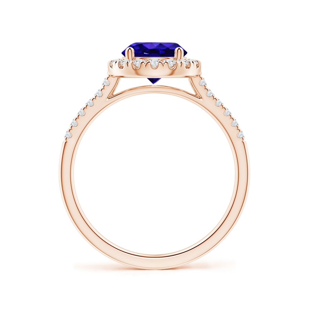 7mm AAAA Round Tanzanite Halo Ring with Diamond Accents in Rose Gold Side-1