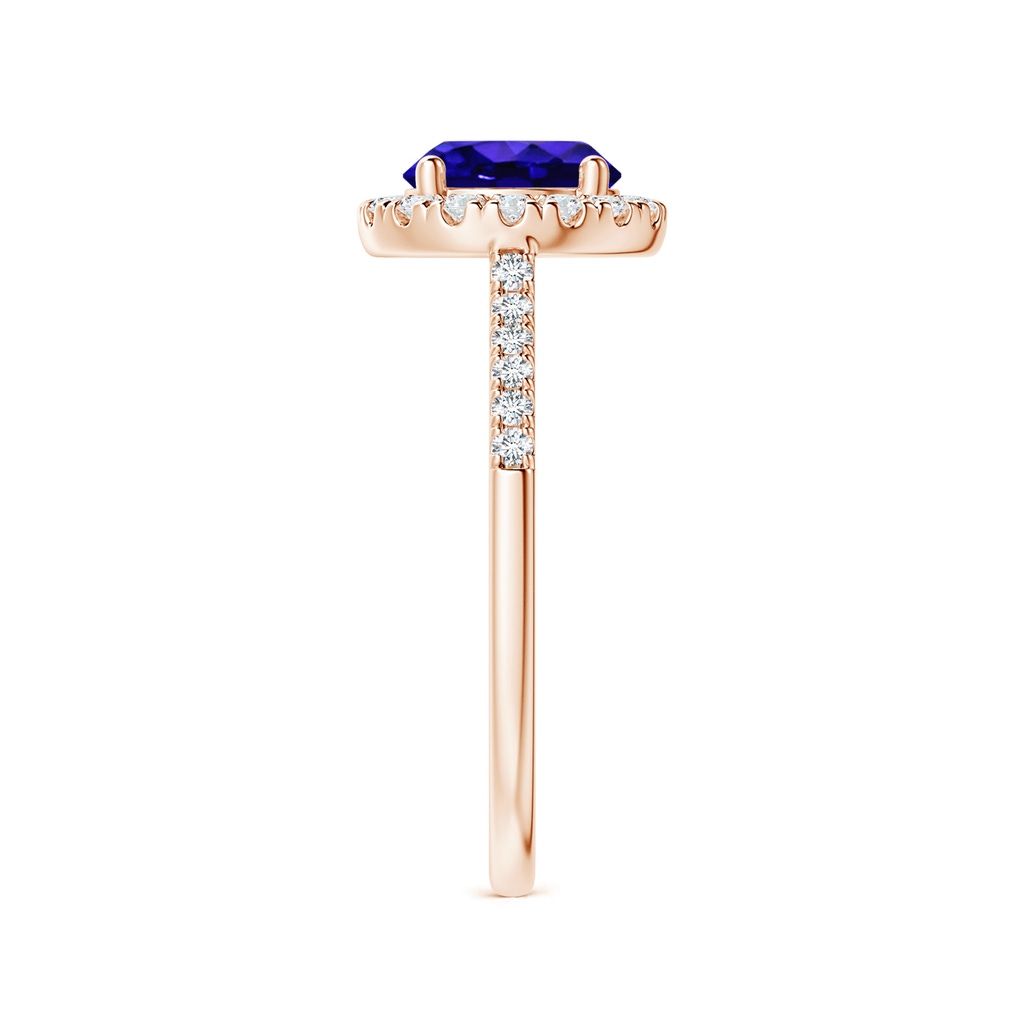 7mm AAAA Round Tanzanite Halo Ring with Diamond Accents in Rose Gold Side-2