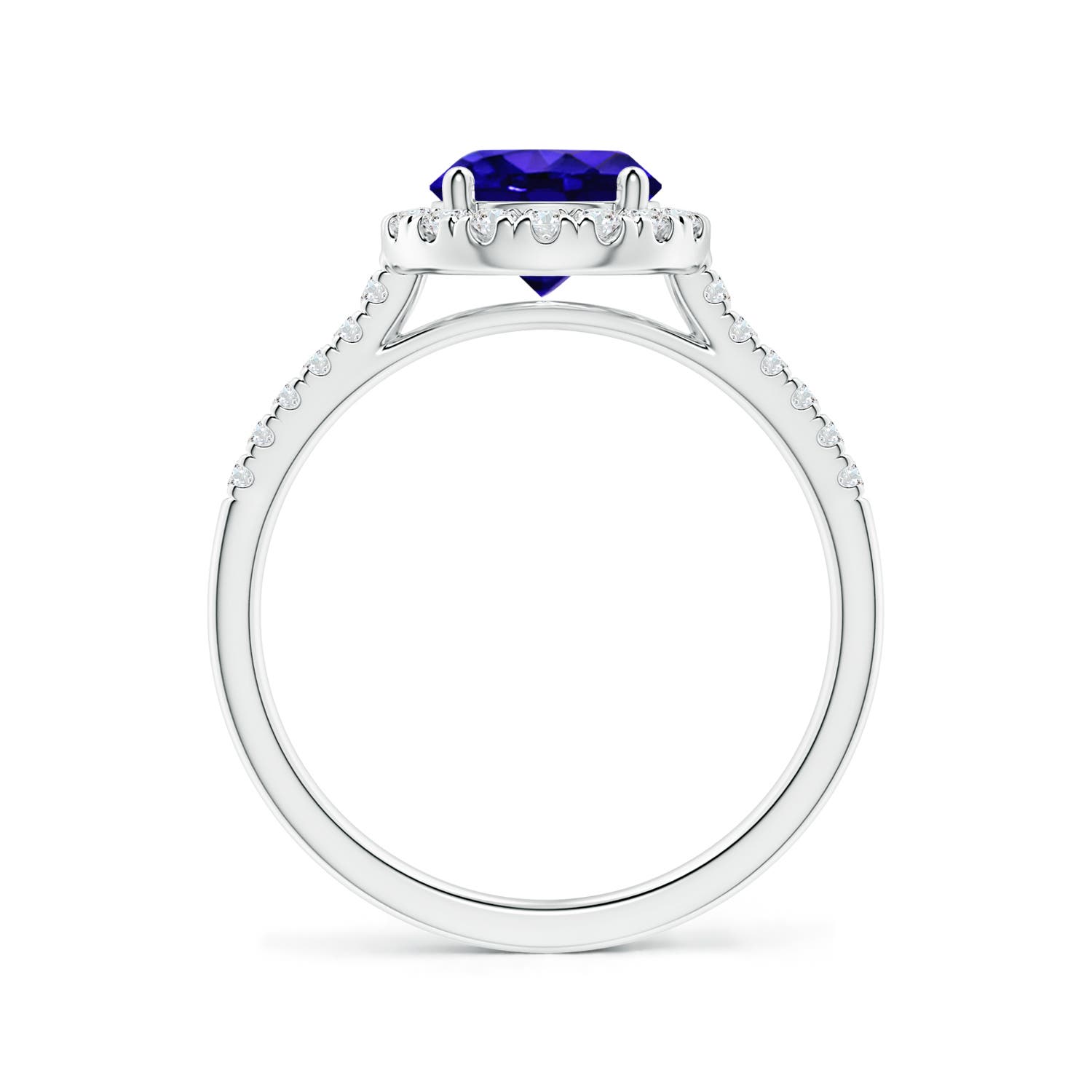 AAAA - Tanzanite / 1.74 CT / 14 KT White Gold