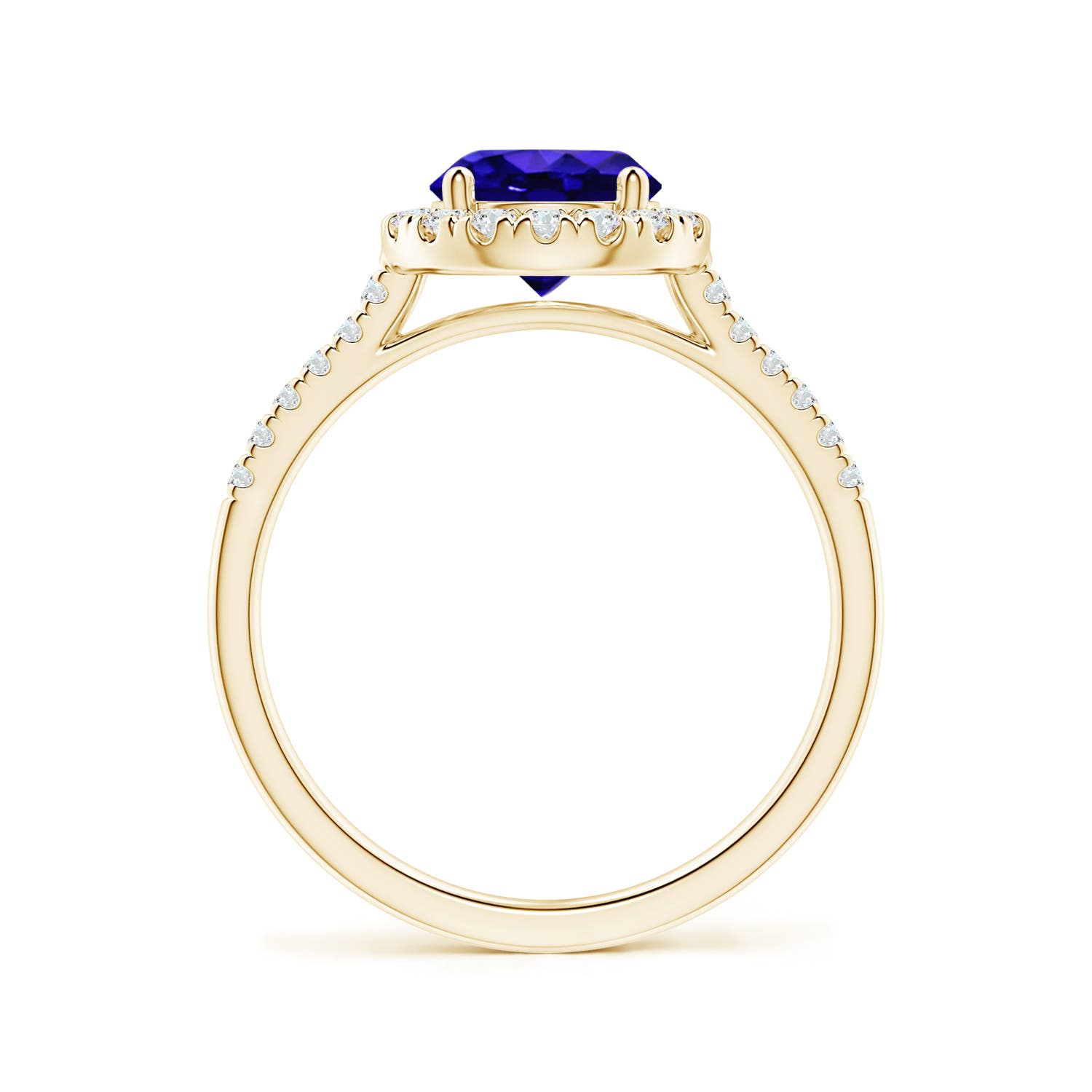 AAAA - Tanzanite / 1.74 CT / 14 KT Yellow Gold