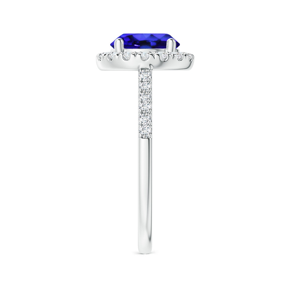 8mm AAA Round Tanzanite Halo Ring with Diamond Accents in White Gold side-2