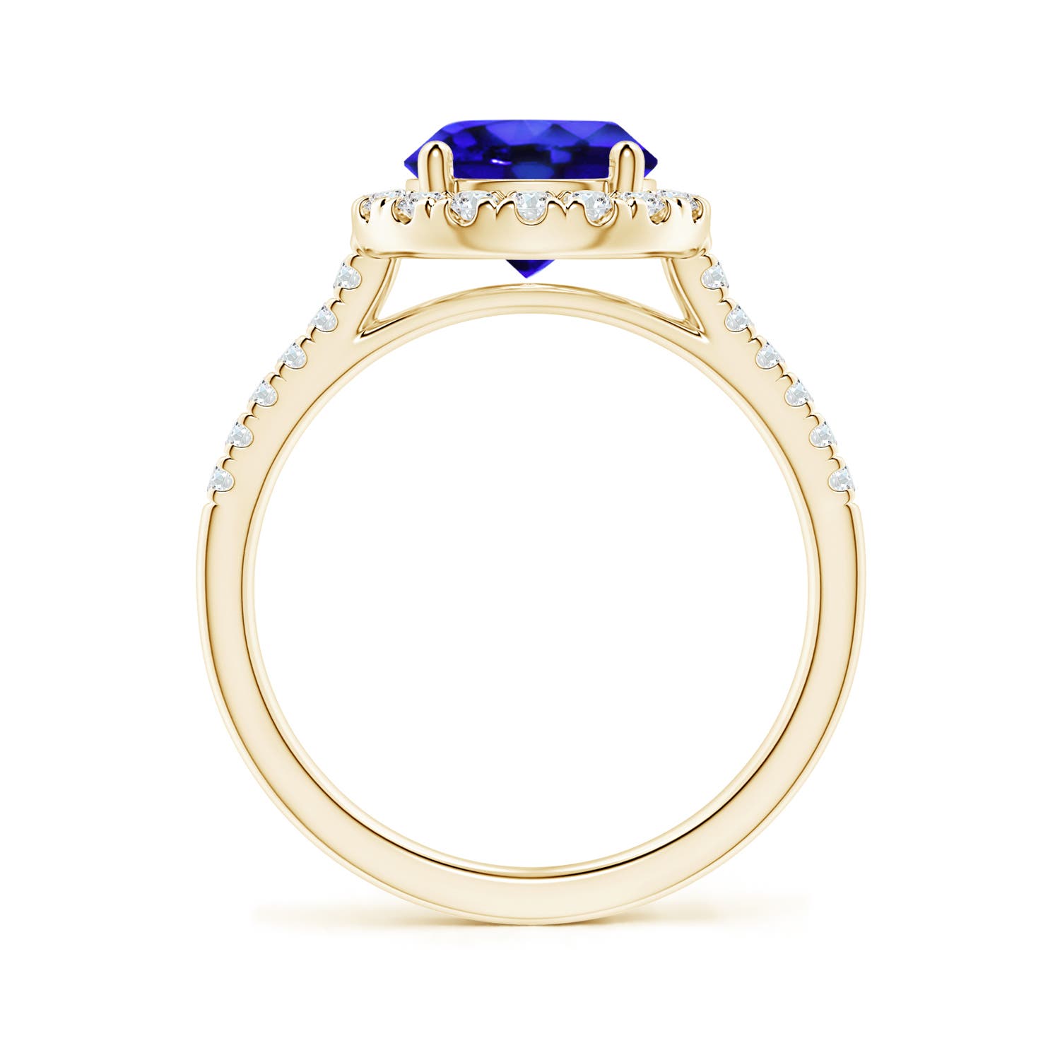 AAA - Tanzanite / 2.12 CT / 14 KT Yellow Gold