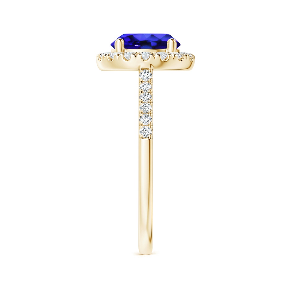 8mm AAA Round Tanzanite Halo Ring with Diamond Accents in Yellow Gold side-2