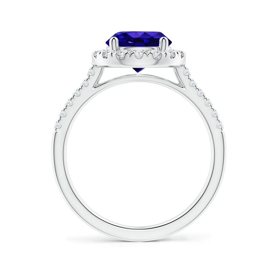 8mm AAAA Round Tanzanite Halo Ring with Diamond Accents in P950 Platinum side-1