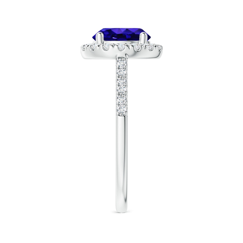8mm AAAA Round Tanzanite Halo Ring with Diamond Accents in P950 Platinum side-2