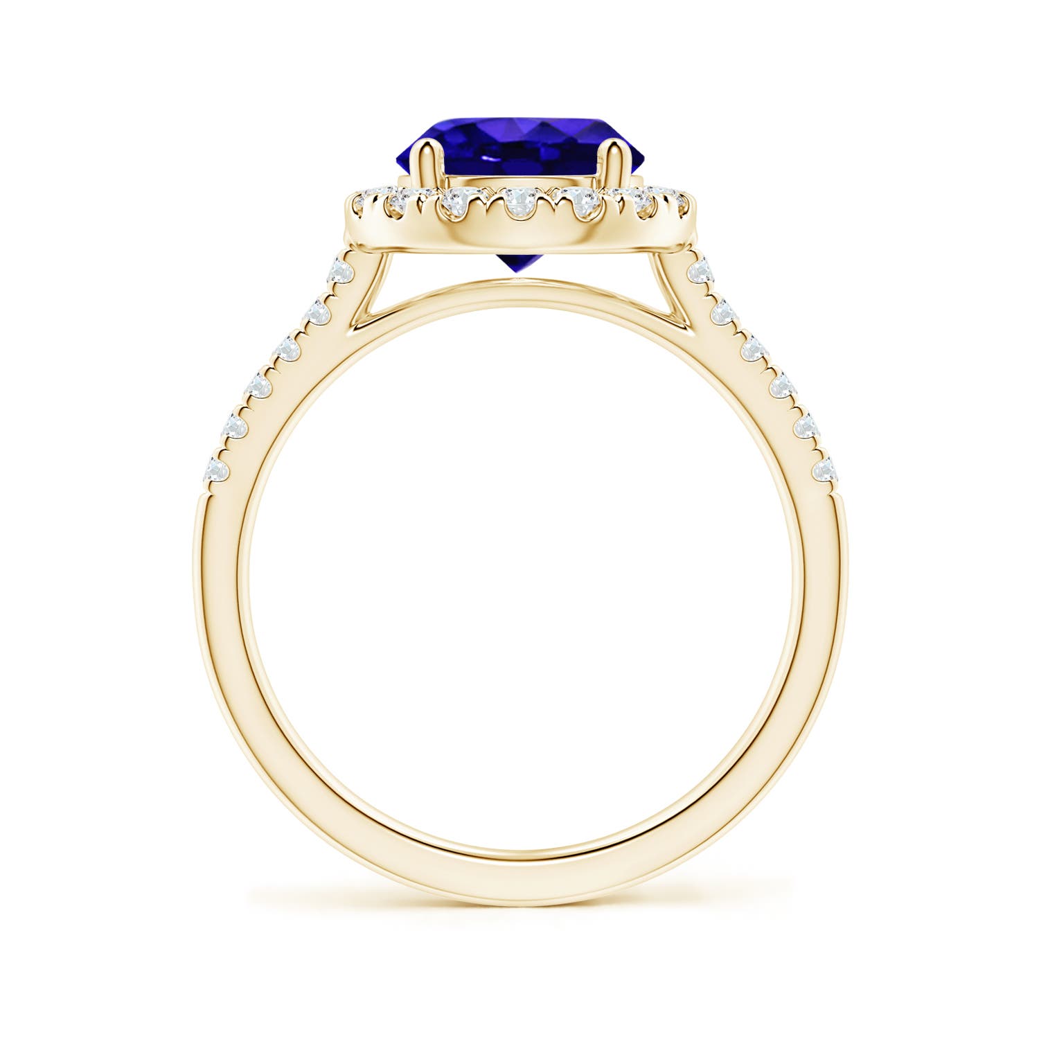 AAAA - Tanzanite / 2.12 CT / 14 KT Yellow Gold