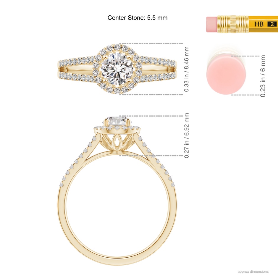 5.5mm IJI1I2 Split Shank Round Diamond Halo Engagement Ring in Yellow Gold ruler