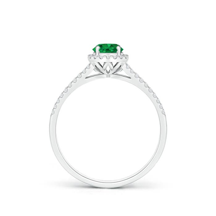 AAA - Emerald / 0.62 CT / 14 KT White Gold