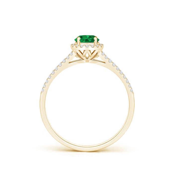 AAA - Emerald / 0.62 CT / 14 KT Yellow Gold