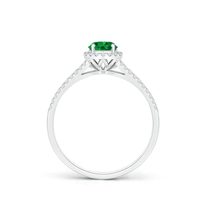 AAAA - Emerald / 0.62 CT / 14 KT White Gold