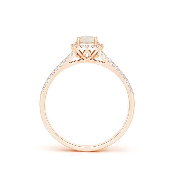 A - Opal / 0.5 CT / 14 KT Rose Gold