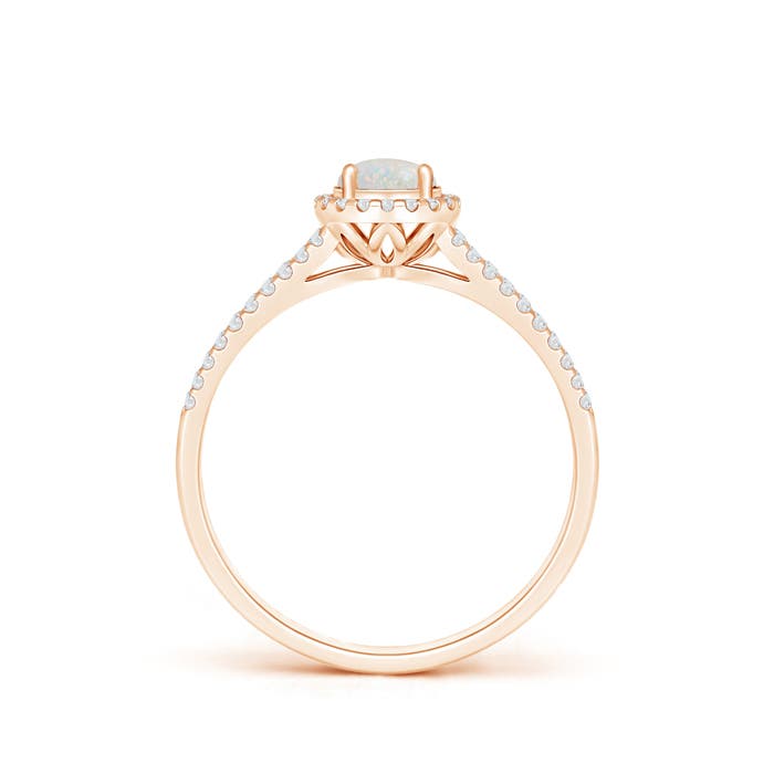 AA - Opal / 0.5 CT / 14 KT Rose Gold