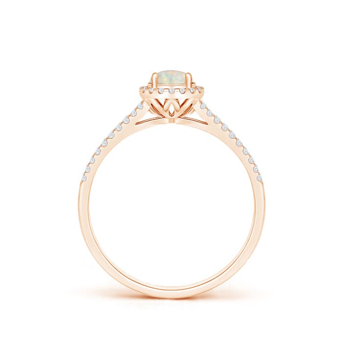 AAA - Opal / 0.5 CT / 14 KT Rose Gold