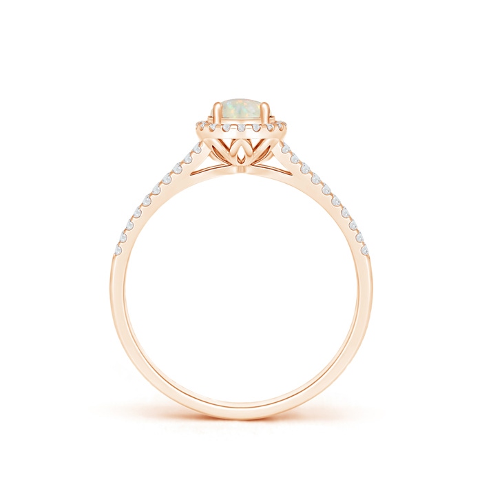 5mm AAA Twin Shank Opal Halo Ring with Diamond Accents in Rose Gold product image