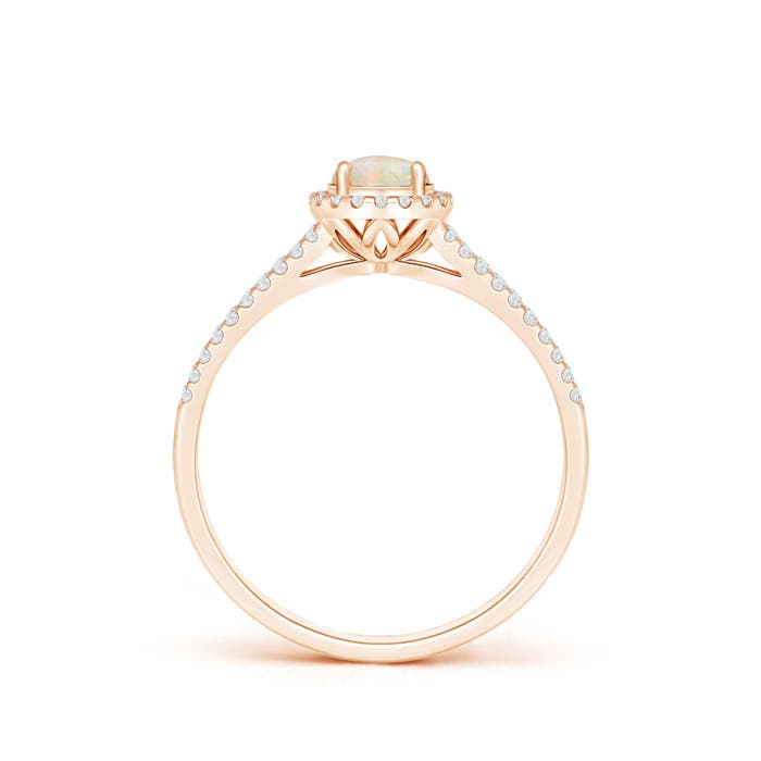 AAAA - Opal / 0.5 CT / 14 KT Rose Gold