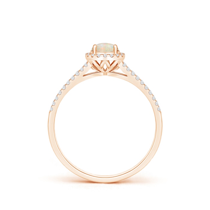5mm AAAA Twin Shank Opal Halo Ring with Diamond Accents in Rose Gold Product Image