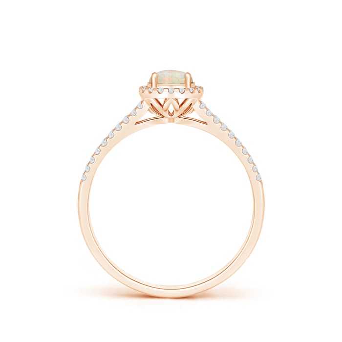 5mm AAAA Twin Shank Opal Halo Ring with Diamond Accents in Rose Gold product image