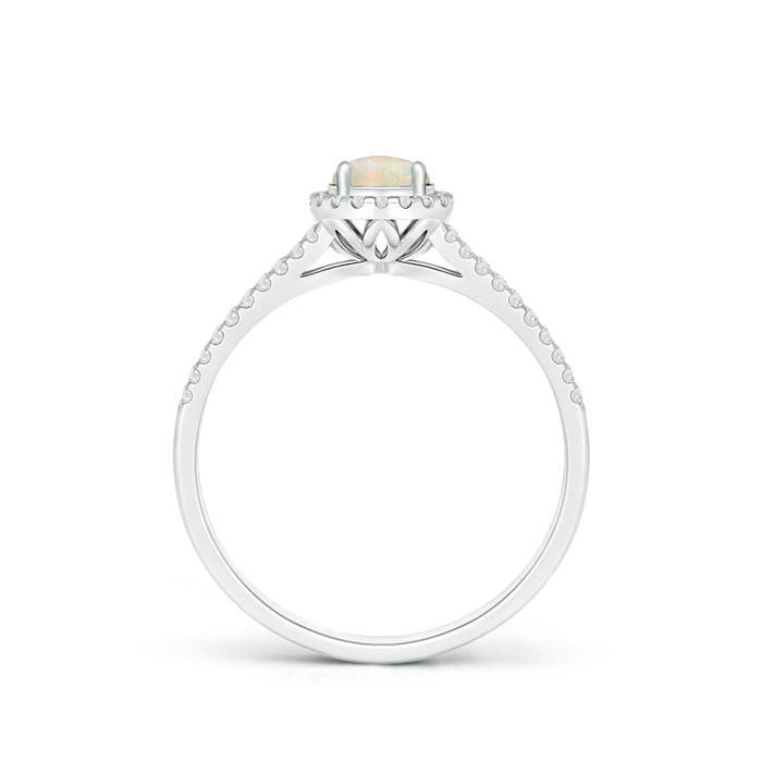 AAAA - Opal / 0.5 CT / 14 KT White Gold