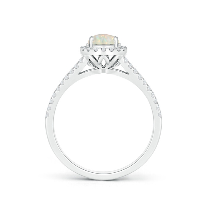 6mm AAA Twin Shank Opal Halo Ring with Diamond Accents in White Gold Product Image