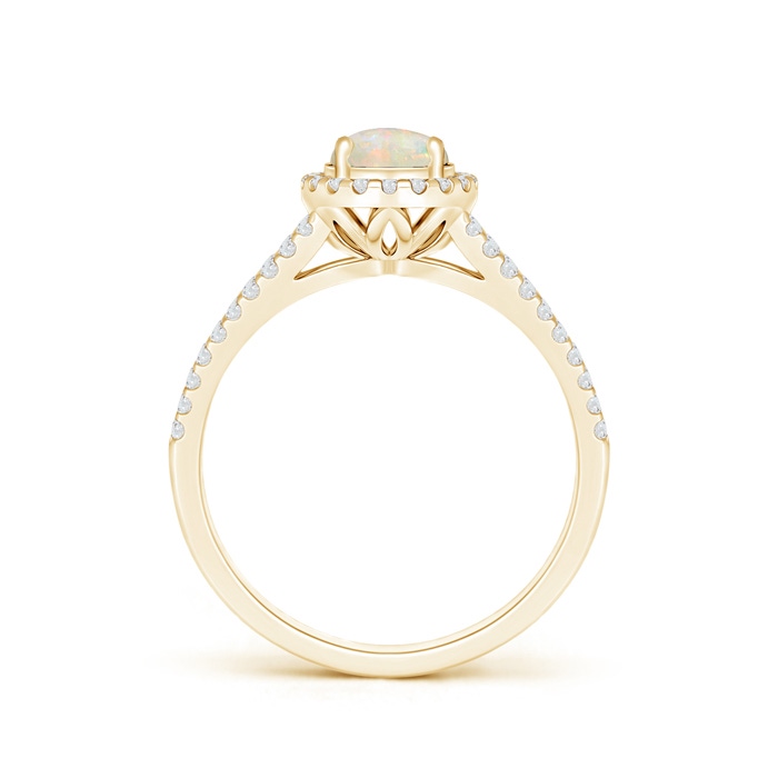 6mm AAAA Twin Shank Opal Halo Ring with Diamond Accents in 10K Yellow Gold Product Image
