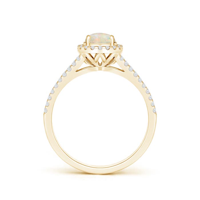 AAAA - Opal / 0.79 CT / 14 KT Yellow Gold