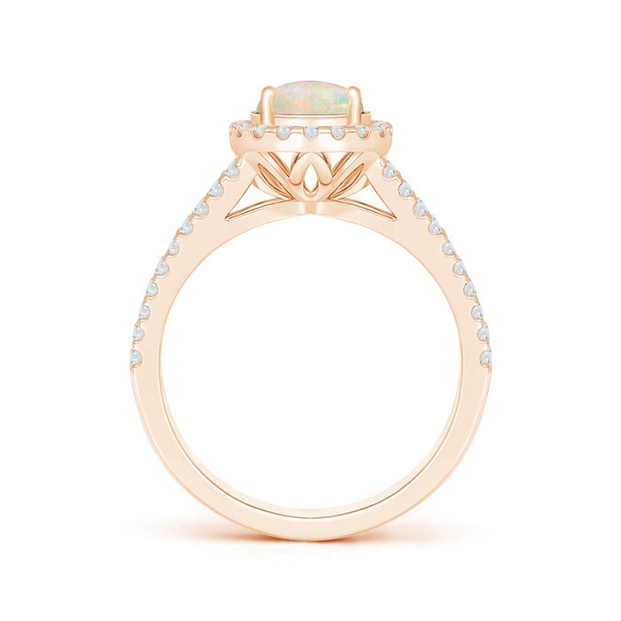 7mm AAAA Twin Shank Opal Halo Ring with Diamond Accents in Rose Gold product image