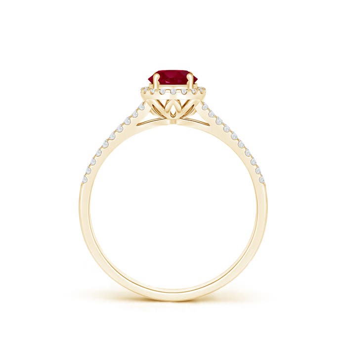 AA - Ruby / 0.77 CT / 14 KT Yellow Gold