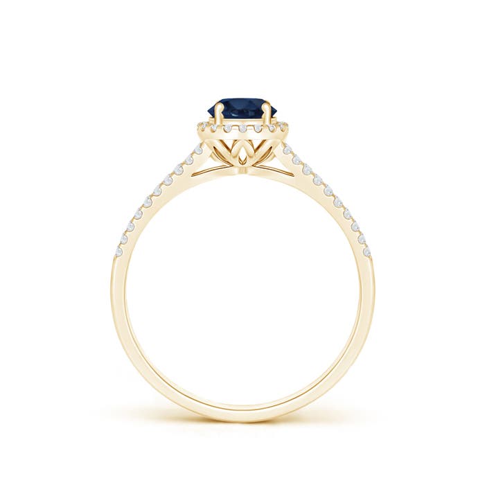 AA - Blue Sapphire / 0.77 CT / 14 KT Yellow Gold