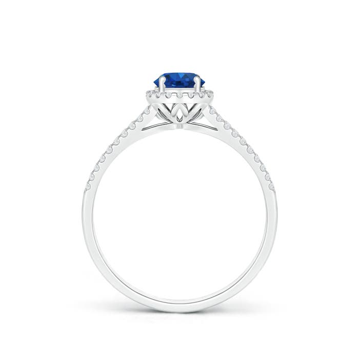 AAA - Blue Sapphire / 0.77 CT / 14 KT White Gold