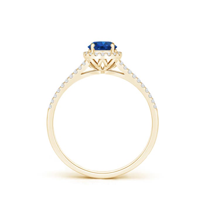 AAA - Blue Sapphire / 0.77 CT / 14 KT Yellow Gold