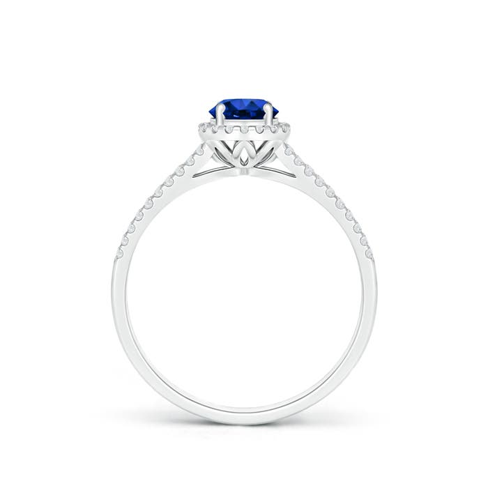 AAAA - Blue Sapphire / 0.77 CT / 14 KT White Gold