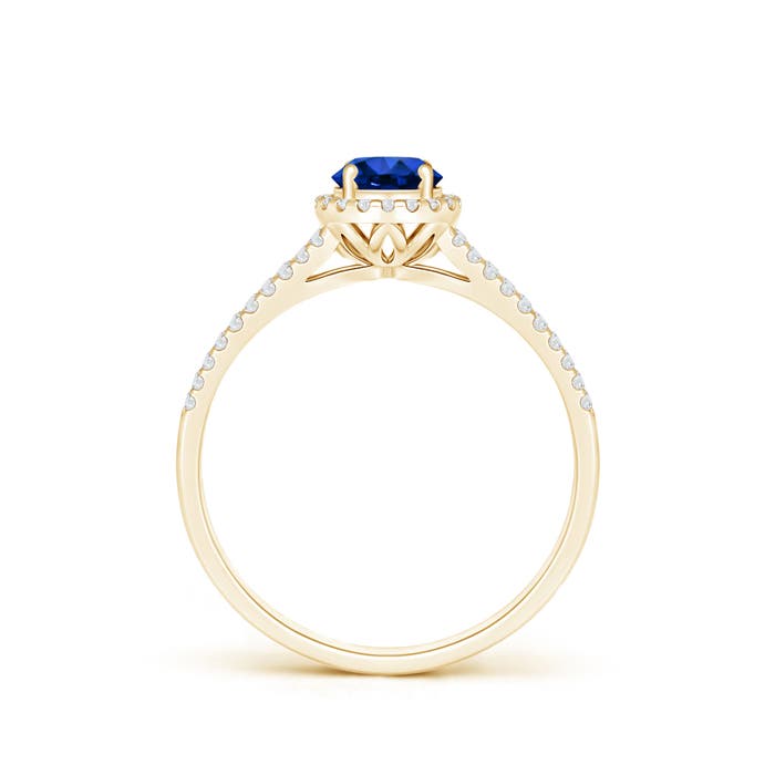 AAAA - Blue Sapphire / 0.77 CT / 14 KT Yellow Gold