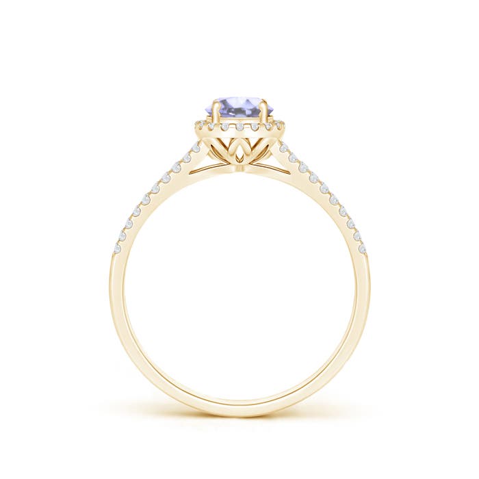 A - Tanzanite / 0.67 CT / 14 KT Yellow Gold